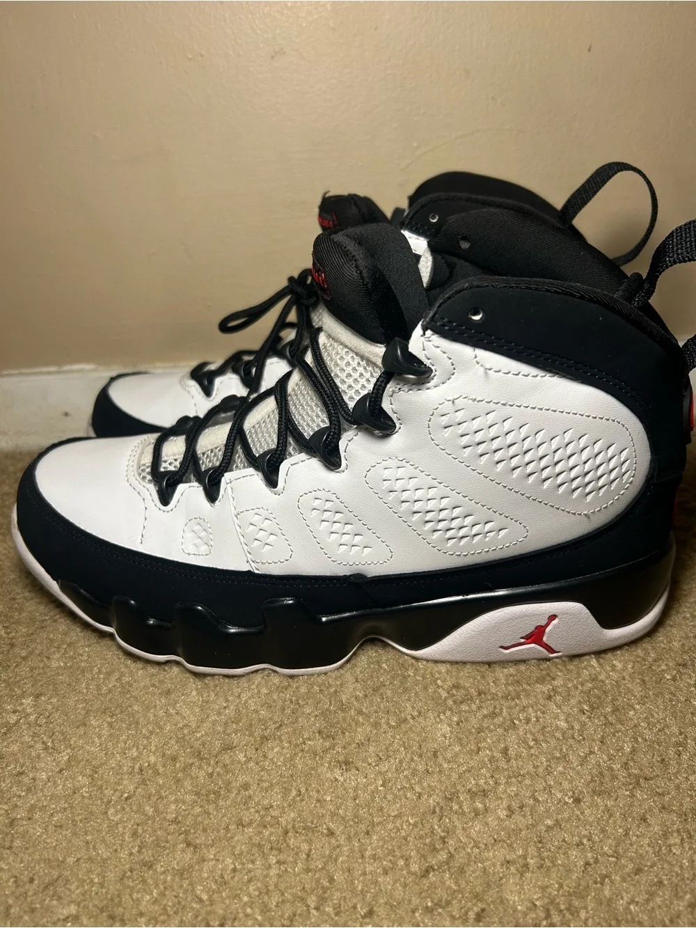 Jordan Space Jam (Size 8.5)